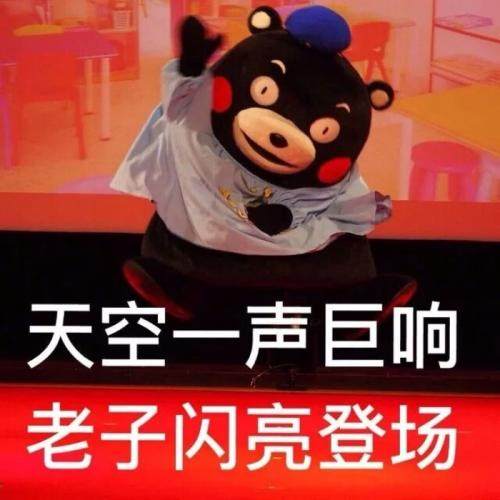 闪亮登场