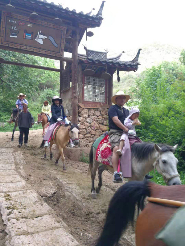 经销商体验茶马古道