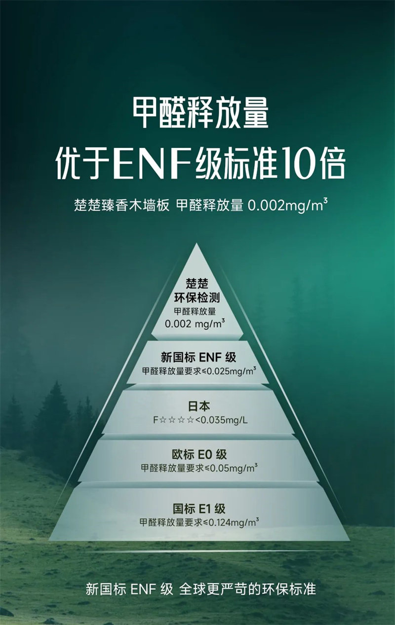 楚楚