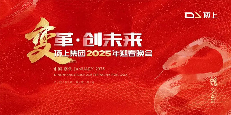 顶上集团2025年迎春晚会