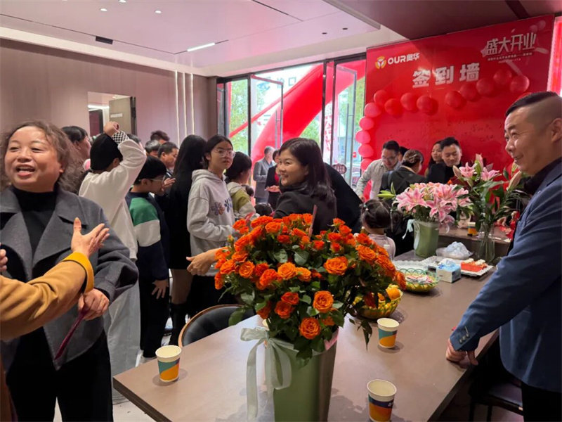 奥华高安顶墙门柜整装旗舰店