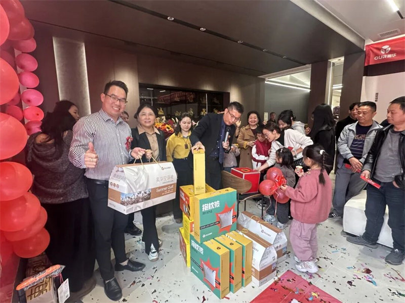 奥华高安顶墙门柜整装旗舰店