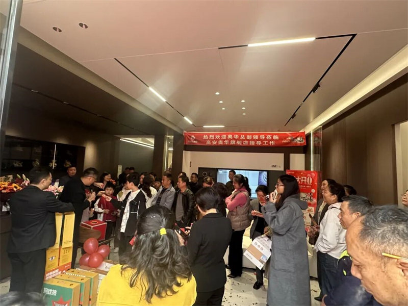 奥华高安顶墙门柜整装旗舰店