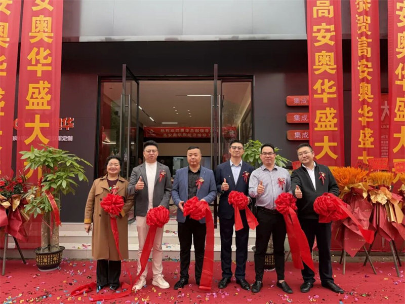 奥华高安顶墙门柜整装旗舰店