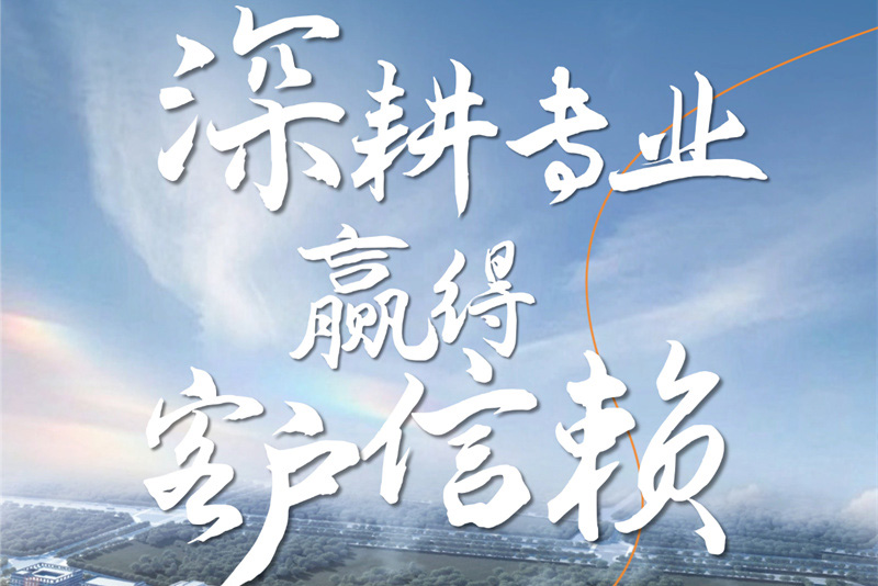 宿松法狮龙刘总：用专业与服务，为您打造理想之家！