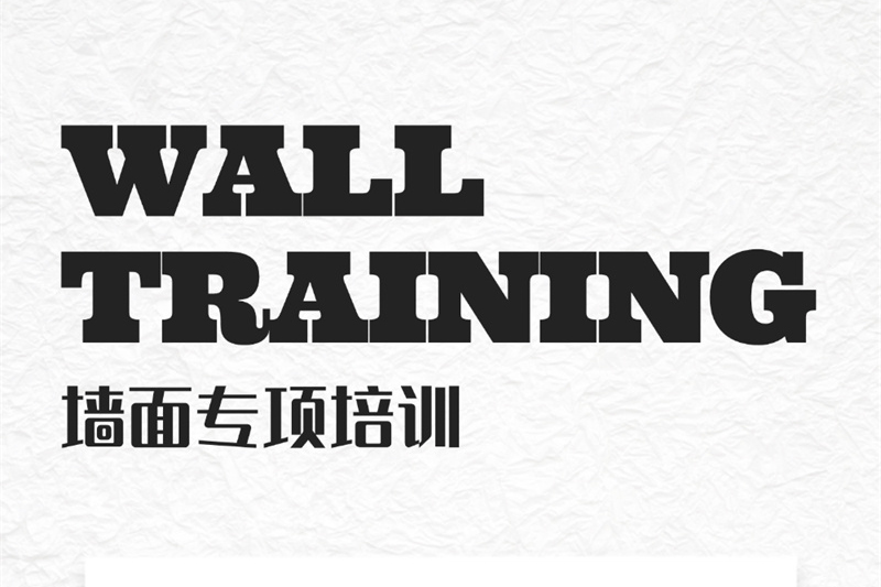 专业力量｜法狮龙2025墙面专项培训西安站&沈阳站圆满收官！