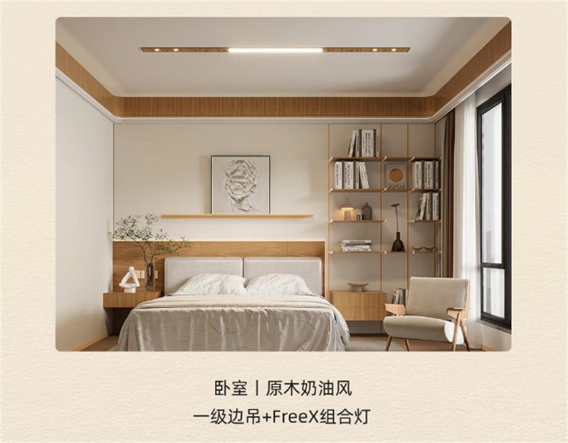友邦 FREEX组合灯